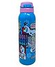 Disney Frozen Licensed 304 Stainless Steel Vacuum Insulated Straw Sipper Bottle Flask-600ml