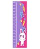 WENS Cute Bunny Height Chart Wall Decal Growth Chart Vinyl - MultiColor