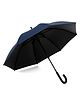 Absorbia Double Layer Folding Portable Umbrella - Blue