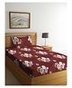 Arrabi Single Bed Cotton Blend Bedsheet and Pillow Cover - Brown
