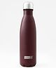 USHA SHRIRAM Insulated Stainless Steel Water Bottle Maroon - 500 ml
