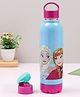 Disney Frozen Insulated Water Bottle 550 ml (Colour May Vary)