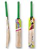 Airic Singapore Cane Handle with Toe Guard and Cover (Size 5) Kashmir Willow Cricket Bat - Green