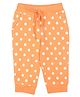 Tiny Girl Polka Dots Printed Joggers - Peach