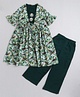 Aww Hunnie 100% Cotton Half Sleeves  Solid Crop Top With Plazzo And Bird Print Peplum Shrug - Green
