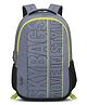 Skybags Graf Plus 02 Laptop Backpack Grey - Height 19 Inches