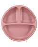 Adore Indulge! Food Grade Silicone Suction Plate with Compartments
