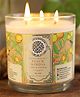 House of Aroma Natural Wax Peach Mimosa Candle 3 Wicks 400 g