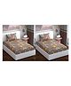 RRC Super Soft Brushed Microfiber Cotton 2 Single Bed sheet With 2 Pillow Cover Brown
