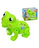 FunBlast Musical Frog with LED Flashing Lights & Sound Toy for Kids