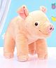 Wild Republic 30 cm Mini Pig Baby Soft Toy