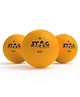 STAG ICONIC High Performance 1 Star Table Tennis (T.T) Balls| Advanced 40+mm Ping Pong Balls for Training, Tournaments and Recreational Play| Durable for Indoor/Outdoor Game - Pack of 3 (Orange)