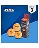 STAG ICONIC High Performance 1 Star Table Tennis (T.T) Balls| Advanced 40+mm Ping Pong Balls for Training, Tournaments and Recreational Play| Durable for Indoor/Outdoor Game - Pack of 3 (Orange)