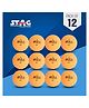 STAG ICONIC High Performance 1 Star Table Tennis (T.T) Balls| Advanced 40+mm Ping Pong Balls for Training, Tournaments and Recreational Play| Durable for Indoor/Outdoor Game - Pack of 12 (Orange)
