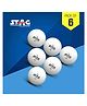 STAG ICONIC High Performance 1 Star Table Tennis (T.T) Balls| Advanced 40+mm Ping Pong Balls for Training, Tournaments and Recreational Play| Durable for Indoor/Outdoor Game - Pack of 6 (White)