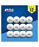 STAG ICONIC High Performance 1 Star Table Tennis (T.T) Balls| Advanced 40+mm Ping Pong Balls for Training, Tournaments and Recreational Play| Durable for Indoor/Outdoor Game - Pack of 12 (White)