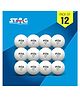 STAG ICONIC High Performance Seam Table Tennis (T.T) Balls| Advanced 40+mm Ping Pong Balls for Training, Tournaments and Recreational Play| Durable for Indoor/Outdoor Game - Pack of 12 (White)