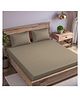 Trance Home Linen 300TC King Size Flat Bedsheet with 2 Pillow Covers - Mocha