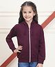 Mini & Ming Fleece Full Sleeves Solid Hooded Sweatshirt - Wine