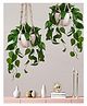 Homesake Artificial Money Plant with Anthurium Leaves in Metal Pot perfect hanging décor for indoor and outdoor spaces 2 Piece