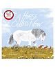 A Horse Called Now- English