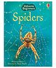 Spiders Picture Book - English