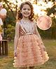 Hola Bonita Knit Sleeveless Glitter Mesh Party Dress With Sequinned Yoke & Belt - Gold