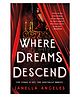 Where Dreams Descend Story Book By Janella Angeles - English