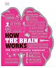 How the Brain Works General Knowledge Book - English
