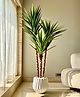 Artificial Yucca Tree - 6 Feet