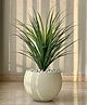 Mason Home Artificial Dragon Plant - 3 Feet