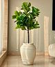 Mason Home Artificial Fiddle Fig Plant - 4.5 Feet