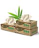 IMECO Bamboo Facial Tissue Soft & Highly Absorbent - 2 Ply | 100 Pulls Per Pack | Pack of 3
