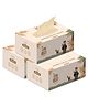 IMECO Bamboo Facial Tissue Soft & Highly Absorbent - 2 Ply | 200 Pulls Per Pack | Pack of 3