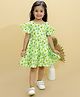 Vastrarth Pure Cotton Woven Half Sleeves Flutter Sleeves Avocado Printed Dress - Green