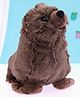 Wild Republic CK Seal Soft Toy Brown - Height 20.5 cm
