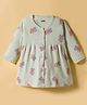 Pink Rabbit Single Jersey Knit Full Sleeves Front Open Frock with Butterfly Print - Light Mint Green