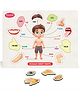 Aditi Toys Wooden Human Body Parts Puzzle With Picture Educational 10 Piece Anatomy Board for Kids Montessori Learning Puzzle for Toddlers & Preschoolers Nursery and Kindergarten - White