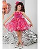 Foreverkidz Organza Woven Sleeveless Floral Applique Detailed & Printed Dress - Pink