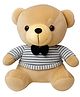 Toytales Teddy Bear AJ Boy Height 30 cm ((Color May Vary)