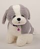 Dukiekooky  Cute & Adorable Grey and White Dog with Purple Collar and Bell Plush  Toy Soft Stuffed Animal ,Height 22 cm