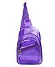 Echo Boomers  Transparent Crossbody Backpack - Purple