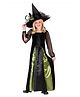 Little Surprise Box Halloween Theme Full Sleeves Witch Costume With Hat Set - Green