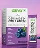 OZiva Phyto Ceramides+ Collagen Builder- 7 Sachets- Blueberry