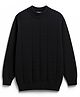 Noddy Full Sleeves Checked Sweater - Black