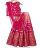 Pine Kids Woven Sleeveless Floral Embroidered Choli Lehenga Set with Dupatta - Dark Pink