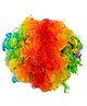 BookMyCostume Nylon Fancy Dress Accessories Joker Curly Hair Wig & Nose - Multi Colour