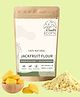Ecotyl Jackfruit Flour | Low Glycemic Index | Gluten Free | 500 g
