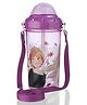 Disney Frozen Store Single Wall Canteen Autumn Leaves Sipper Bottle Purple - 465 ml