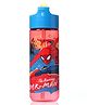 Spider Man Stor Large Ecozen Hydro Water Bottle Red - 540 ml